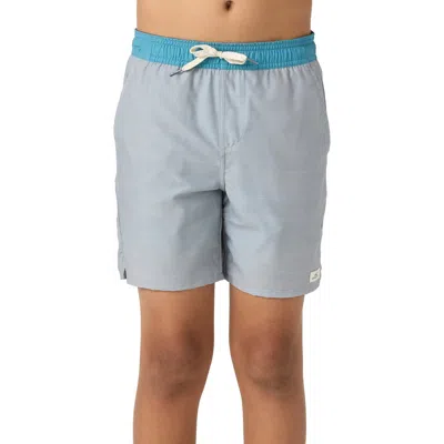 O'neill Kids' Performance Light Shorts In Light Grey