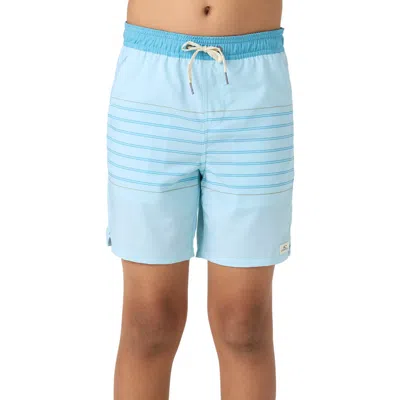 O'neill Kids' Performance Light Shorts In Sky Blue