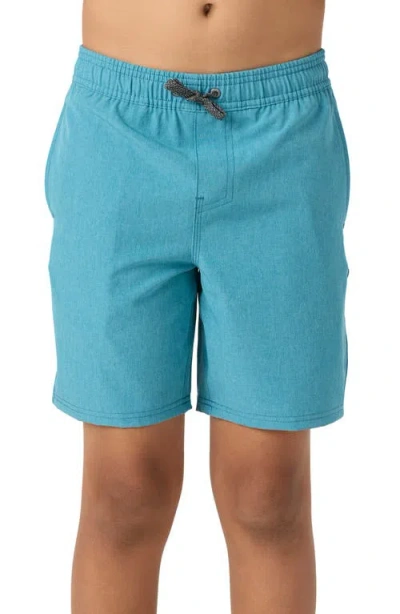 O'neill Kids' Reserve Shorts In Heather Stormy