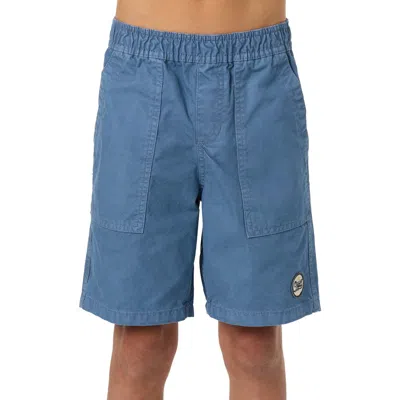 O'neill Kids' Ronan Field Shorts In Blue