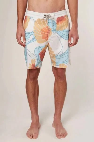 O'neill Leedo Cruzers Boardshort In Bone In Multi