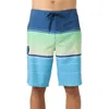 O'neill Leennox Stripe Board Shorts