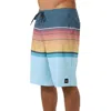 O'neill Lennox Stripe Board Shorts In Gray