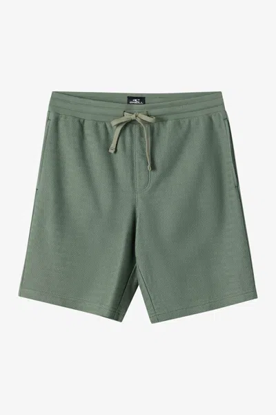 O'neill Men's Bavaro Solid 19" Shorts In Green