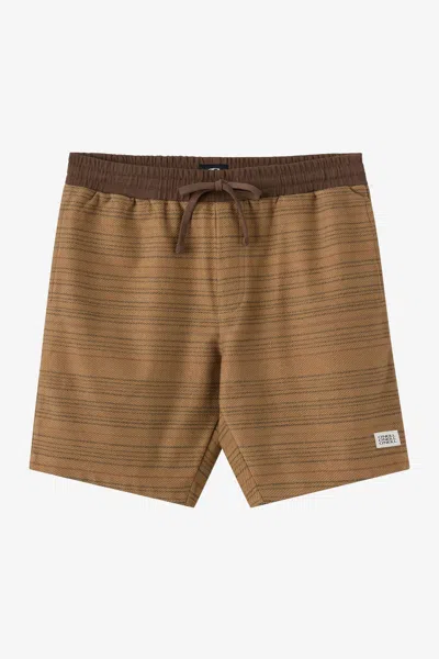 O'neill Men's Bavaro Stripe 19" Shorts In Brown