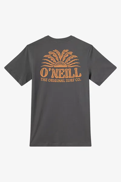 O'neill Men's Burst Classic T-shirt In Gray
