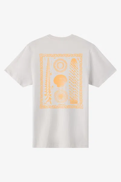 O'neill Men's Calico Classic T-shirt In Gray