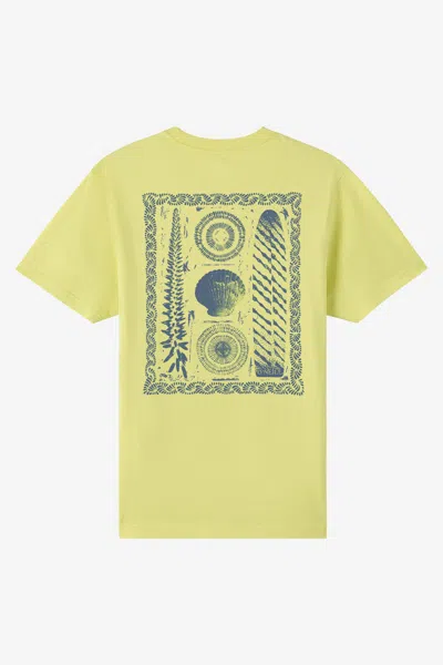 O'neill Men's Calico Classic T-shirt In Green