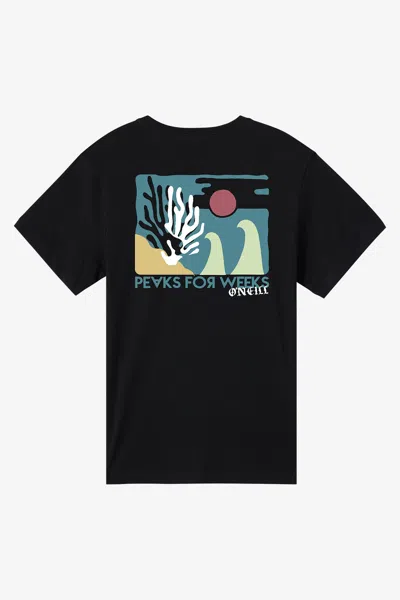 O'neill Men's Coral Classic T-shirt In Black