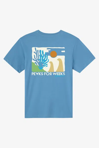 O'neill Men's Coral Classic T-shirt In Blue