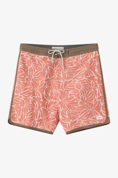 O'neill Men's Cruzer Scallop 18" Board Shorts In Brown