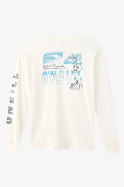 O'neill Men's Cutback Long Sleeve T-shirt In Neutral