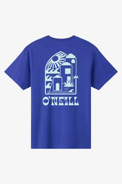O'neill Men's Frothy Classic T-shirt In Blue