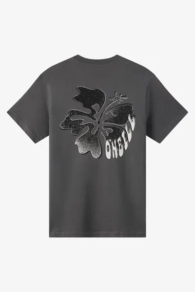 O'neill Men's Hibis Classic T-shirt In Gray