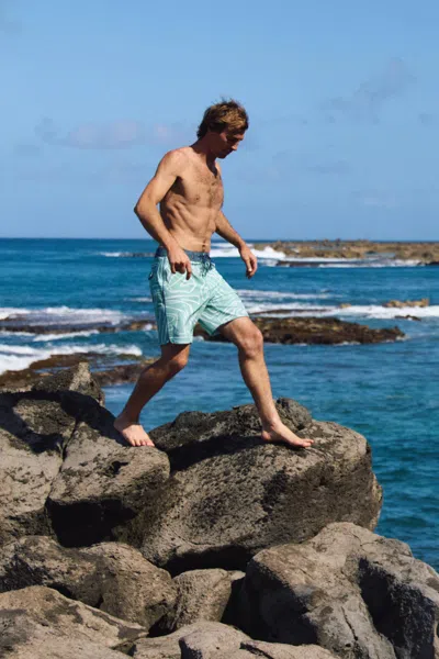 O'neill Hyperfreak Mysto Scallop Board Shorts In Green