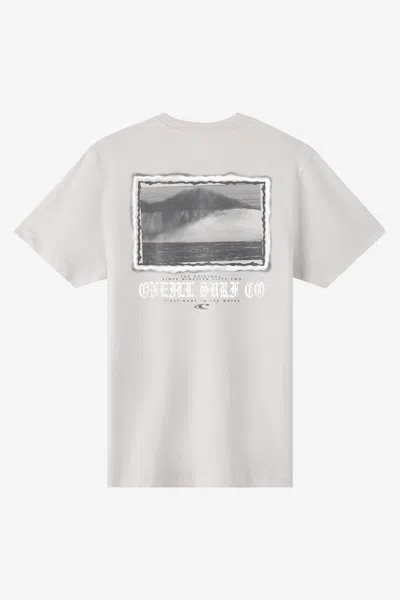 O'neill Men's Isolate Classic T-shirt In Animal Print