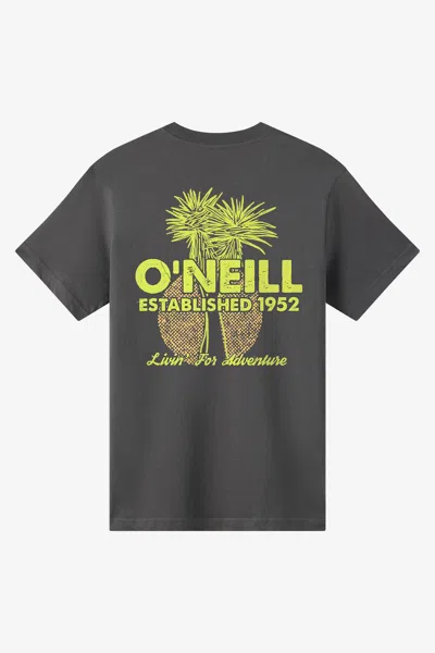 O'neill Men's Landmark Classic T-shirt In Gray