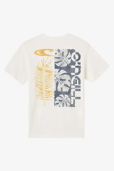 O'neill Men's Monstera Classic T-shirt In Neutral