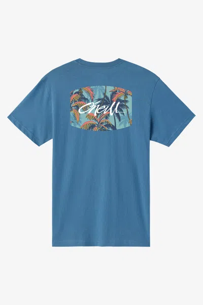 O'neill Men's Motley Standard Fit T-shirt In Blue