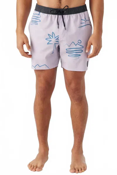 O'neill Men's Og Volley Boardies In Iris In Multi