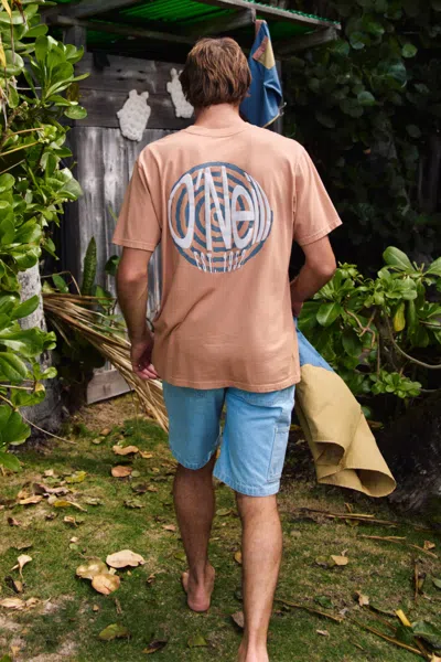 O'neill Men's O'riginals Fish Eye Vintage T-shirt In Neutral