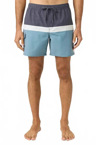 O'neill Men's O'riginals Horizon Volley Swim Trunks In Sts In Multi