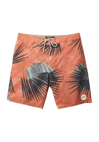 O'neill Men's Palmade Cruzer Boardies In Spice In Orange