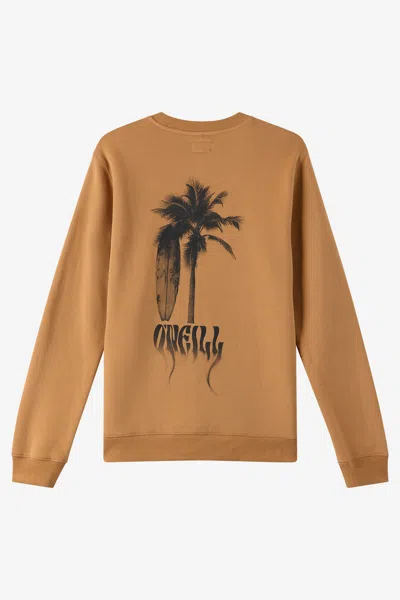 O'neill Men's Shadow Classic Crew Neck Fleece In Brown