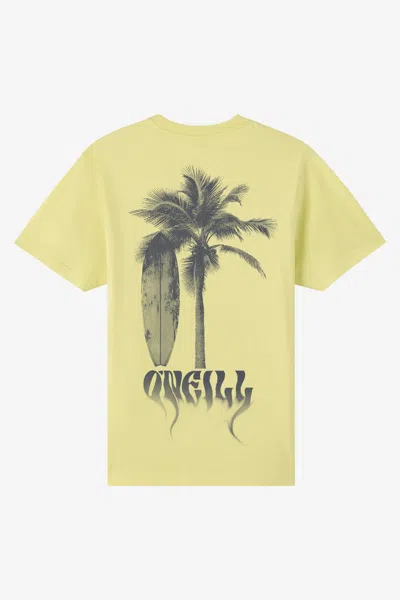 O'neill Men's Shadow Classic T-shirt In Green