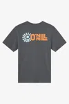 O'neill Men's Sun Stack Classic T-shirt In Gray