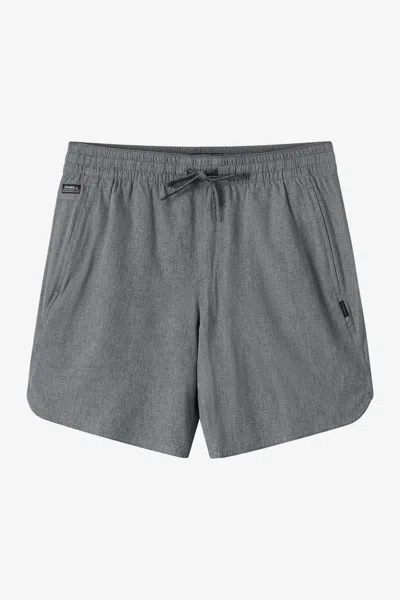 O'neill Men's Trvlr Tech Lined 17" Hybrid Shorts In Gray