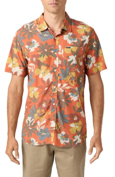 O'neill Oasis Eco Floral Short Sleeve Button-up Shirt In Ginger Spice