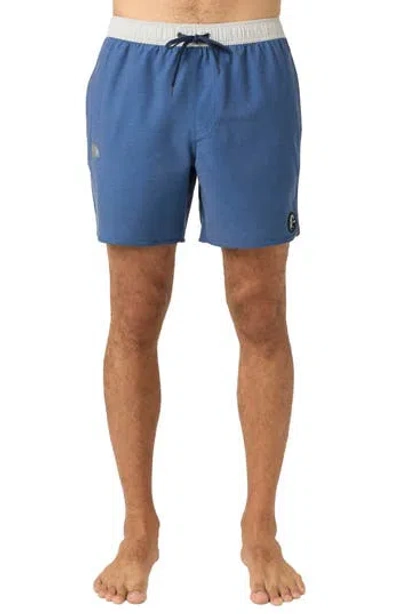 O'neill Og Solid Scallop Volley Swim Trunks In Animal Print