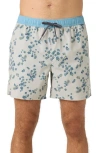 O'neill Og Volley Swim Trunks In Light Khaki