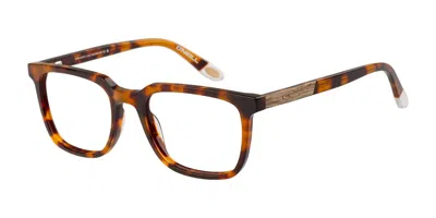 O'neill Onb 4028 Women's Glasses, Tortoiseshell, Size 50 In Brown