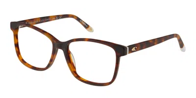 O'neill Onb 4029 Women's Glasses, Tortoiseshell, Size 54