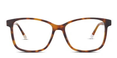 O'neill Onb-4029 Tortoise