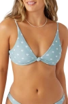 O'neill Saltwater Essentials Pismo Bikini Top In Blue Multi