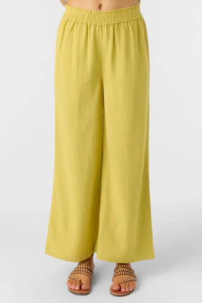 O'neill Sanders Pant In Golden Green In Multi
