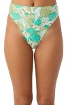 O'neill Shell Abstract Maxwell High Cut Bikini Bottoms In Multi Colored