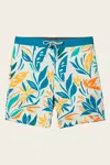 O'neill Sol Cruzer Boardies In Multi In Multi