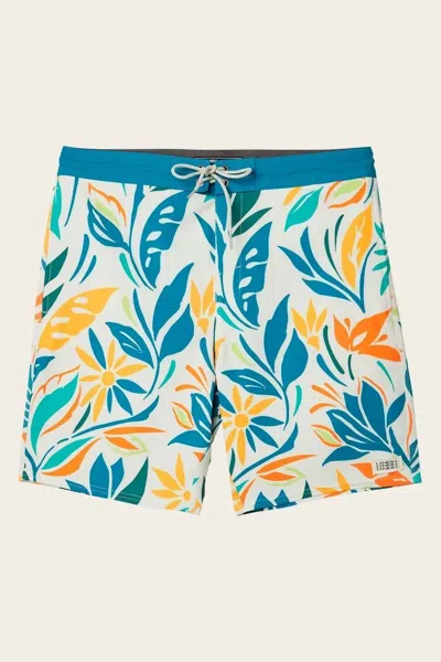 O'neill Sol Cruzer Boardies In Multi