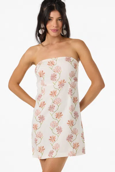 O'neill Women's Cassie Ivy Floral Mini Dress In Pink