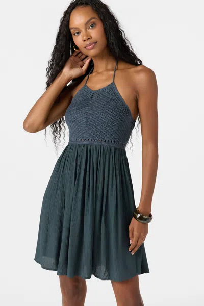 O'neill Women's Kindra Mini Dress In Gray