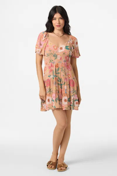 O'neill Layken Camella Floral Tiered Minidress In Brown