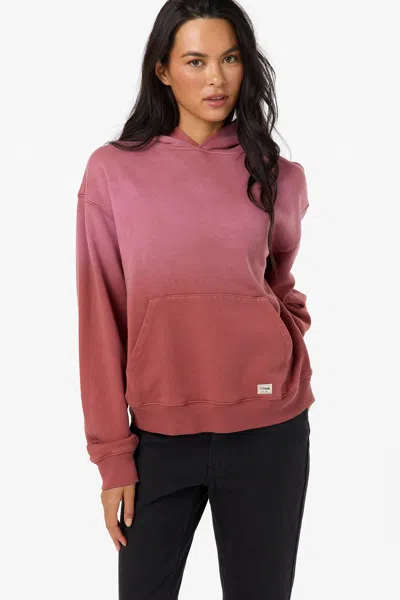 O'neill Women's O'riginals Salty Vintage Hoodie In Apple Butter