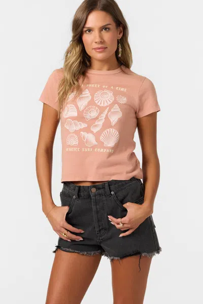 O'neill Women's Seashell Sands T-shirt In Cork