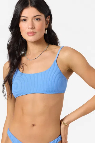 O'neill Women's Shorebreak Rib Surfside Bralette Bikini Top In Blue