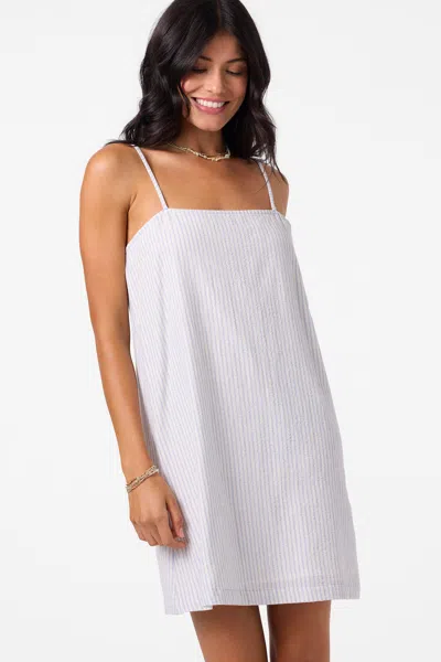O'neill Women's Wilda Mini Dress In Hydrangea