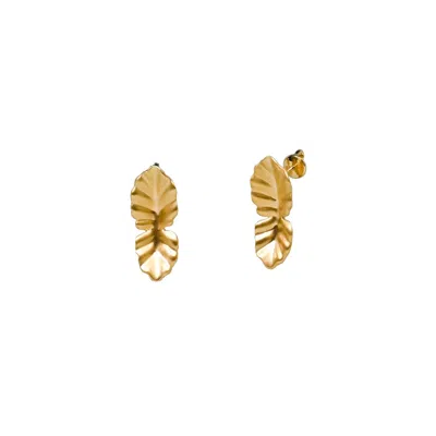 Oni Women's Kaffir Form Earrings - Gold